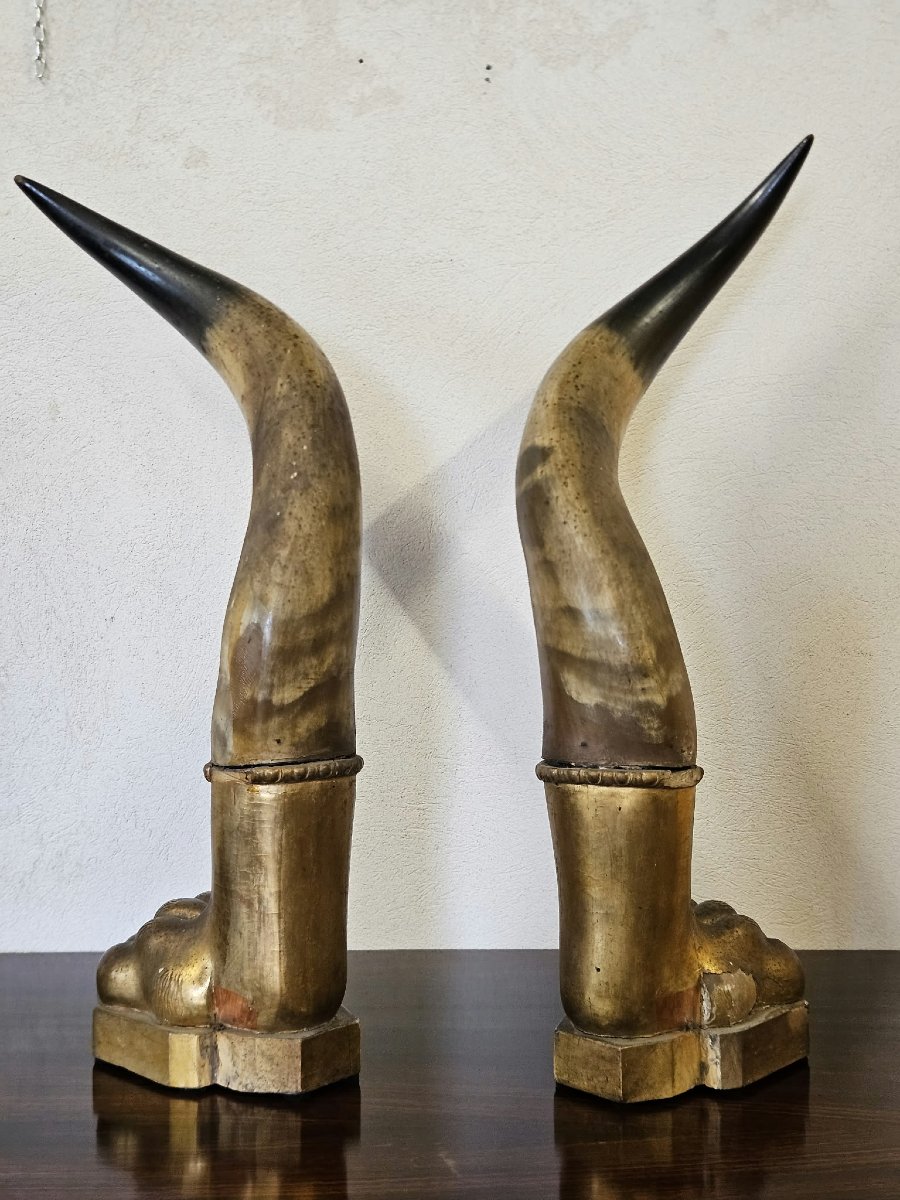 Paire de cornes de bœuf avec socles en bois sculpté et doré – Première moitié du XIXe siècle-photo-3