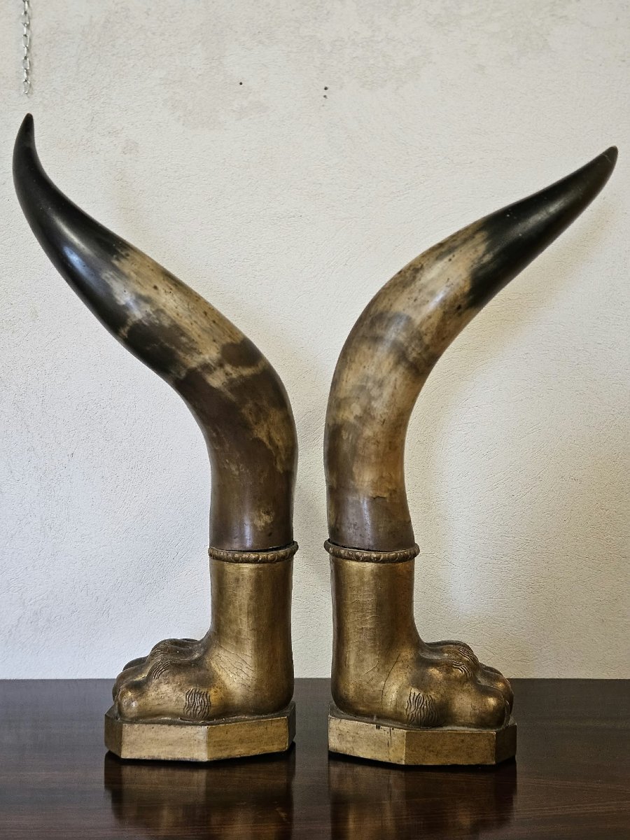 Paire de cornes de bœuf avec socles en bois sculpté et doré – Première moitié du XIXe siècle-photo-4