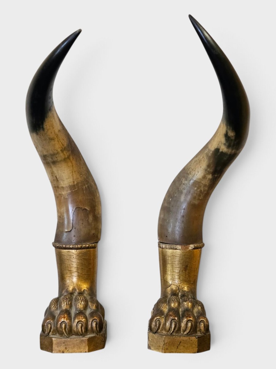 Paire de cornes de bœuf avec socles en bois sculpté et doré – Première moitié du XIXe siècle