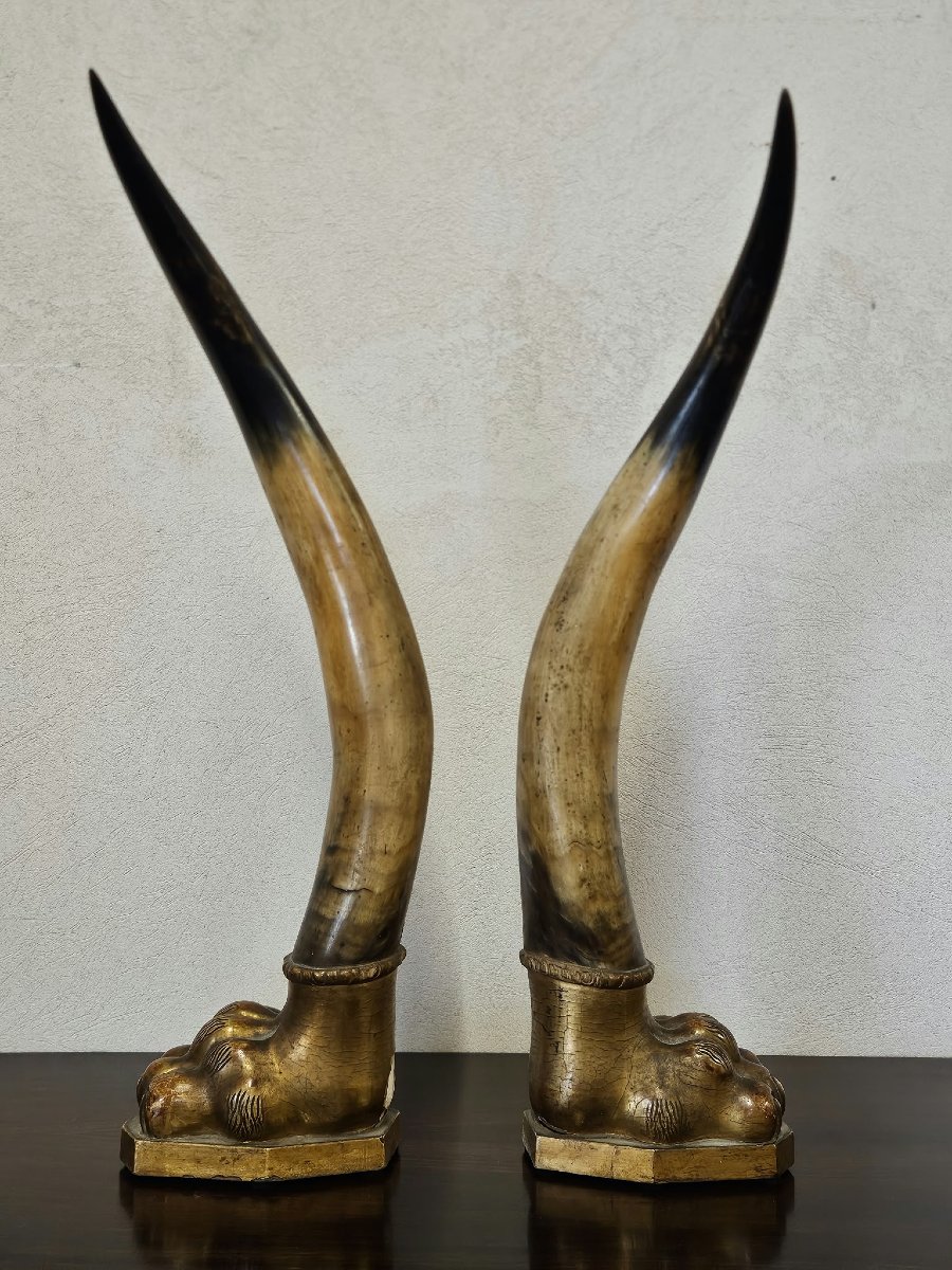 Paire de cornes de bœuf avec socles en bois sculpté et doré – Première moitié du XIXe siècle-photo-2