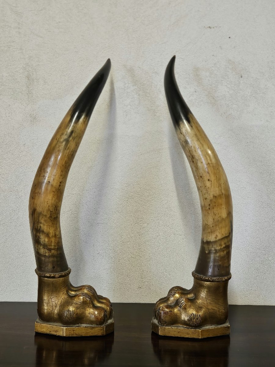 Paire de cornes de bœuf avec socles en bois sculpté et doré – Première moitié du XIXe siècle-photo-4