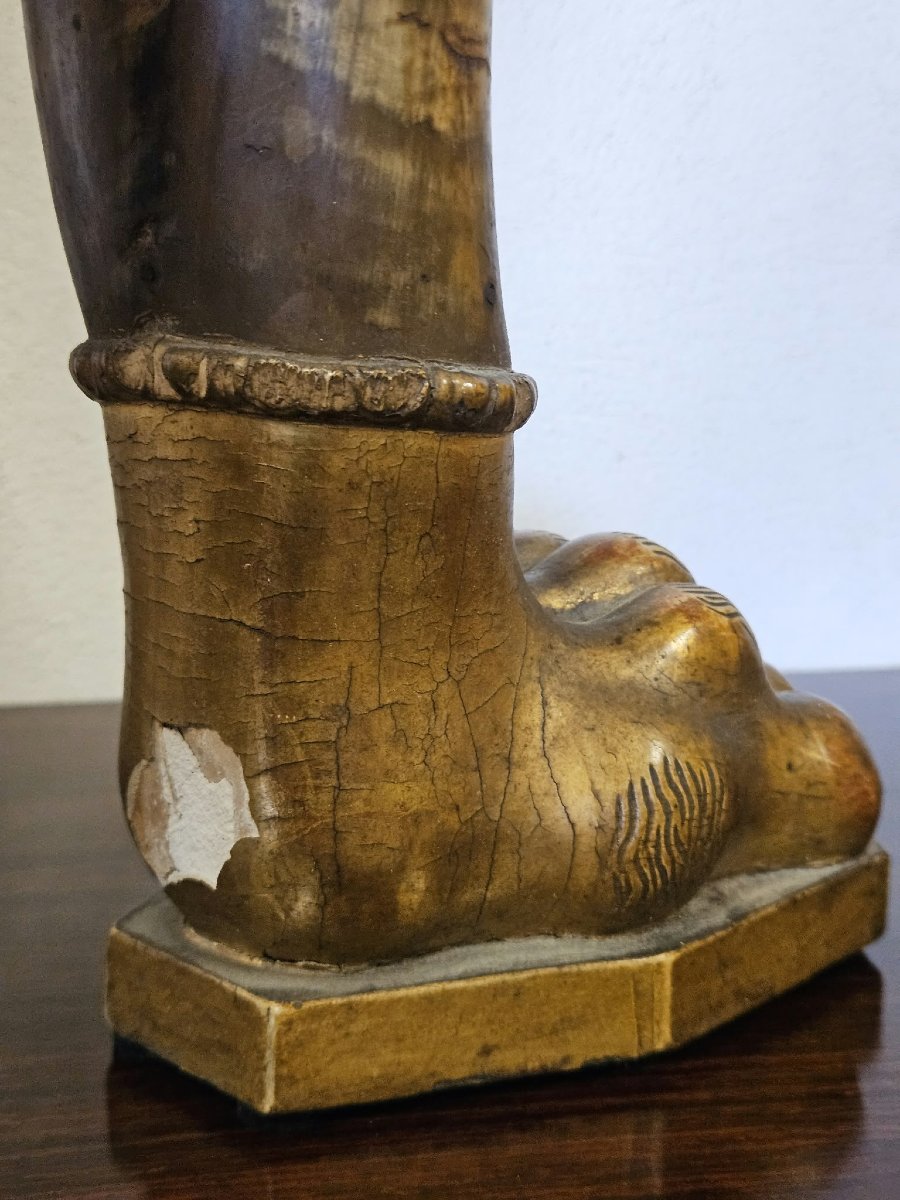 Paire de cornes de bœuf avec socles en bois sculpté et doré – Première moitié du XIXe siècle-photo-4