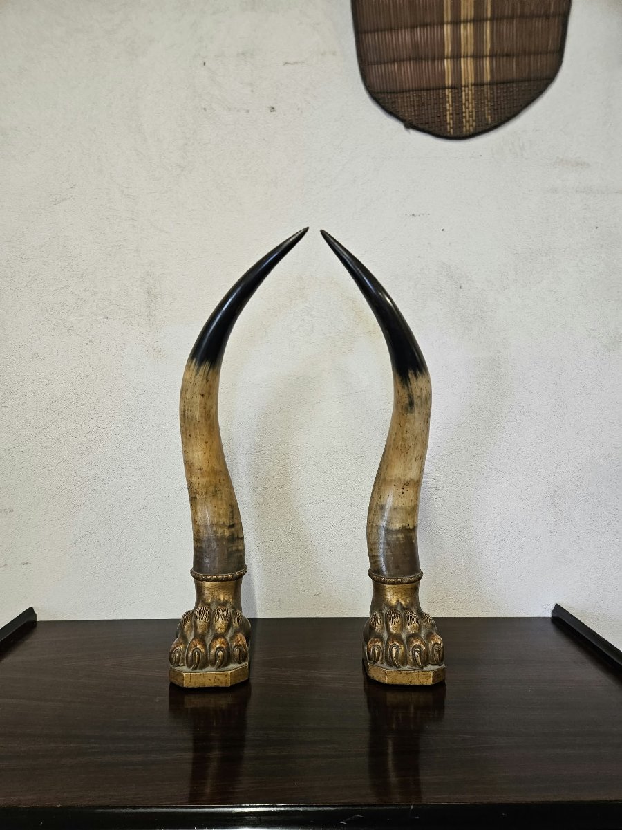 Paire de cornes de bœuf avec socles en bois sculpté et doré – Première moitié du XIXe siècle-photo-5