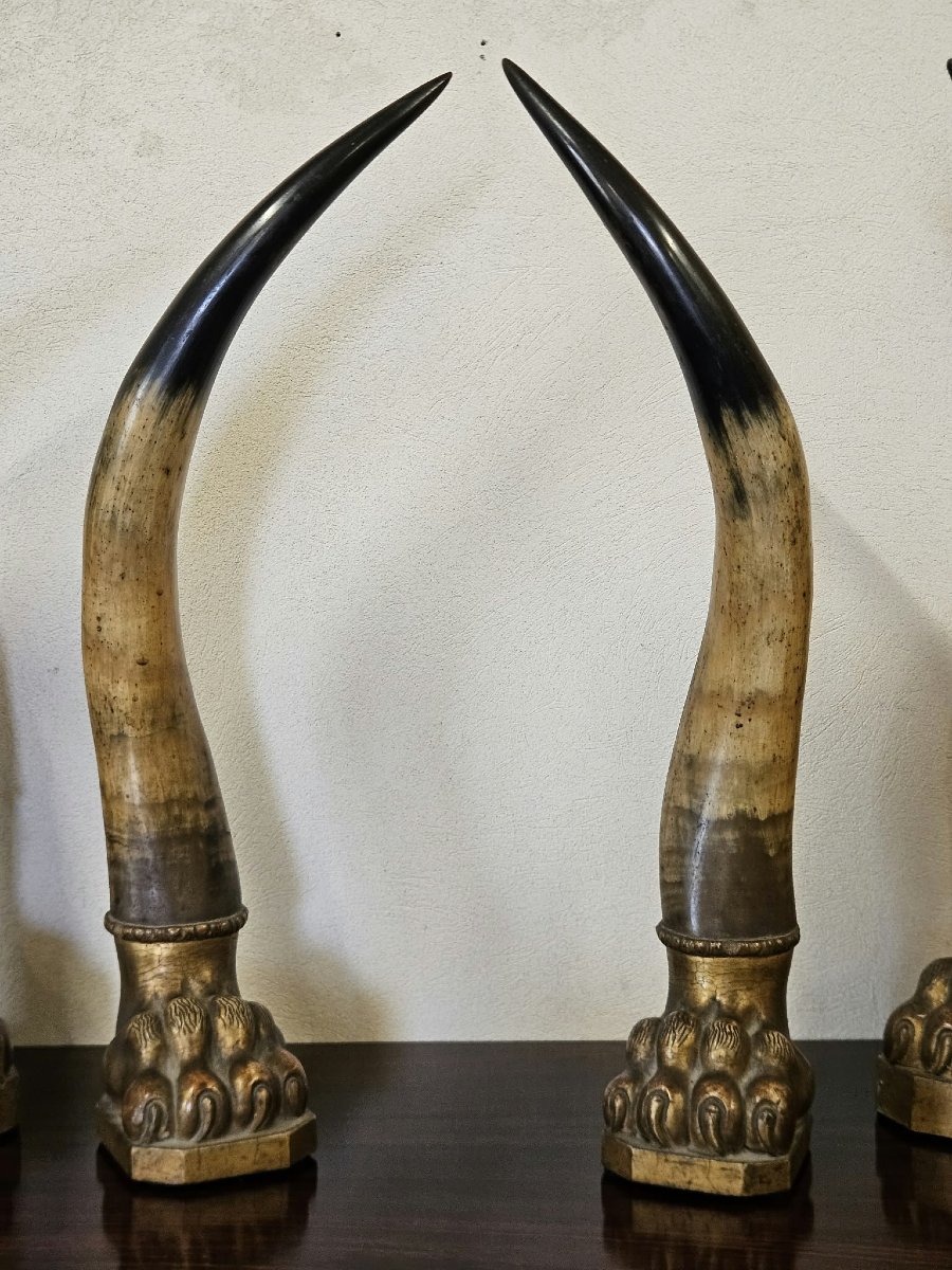 Paire de cornes de bœuf avec socles en bois sculpté et doré – Première moitié du XIXe siècle-photo-7