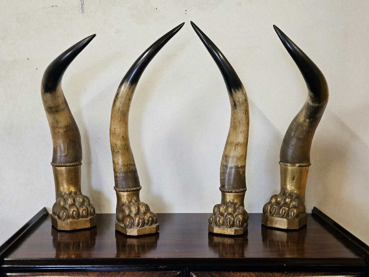 Paire de cornes de bœuf avec socles en bois sculpté et doré – Première moitié du XIXe siècle-photo-8
