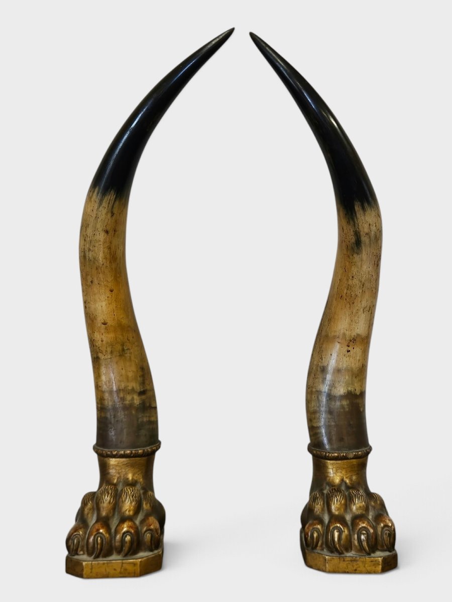 Paire de cornes de bœuf avec socles en bois sculpté et doré – Première moitié du XIXe siècle