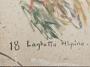 1829414-alb-6abb8aae4ebed.jpg