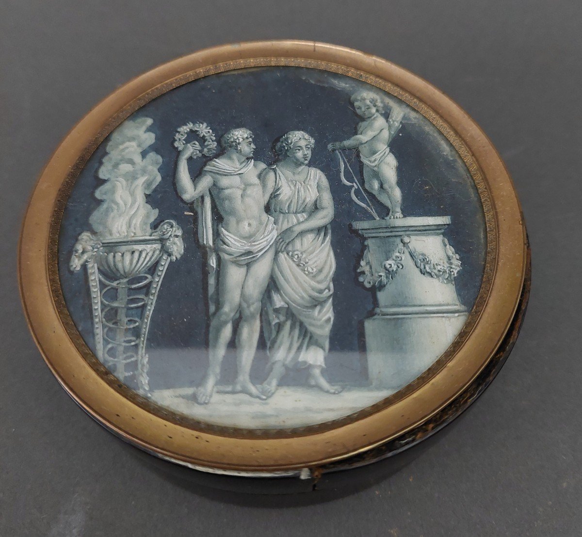   Une carapace de tourtue.  Peinture.18 siècles.