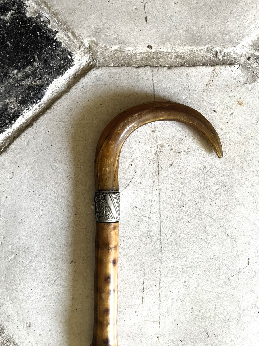 canne-épée en bambou, 19ème siècle-photo-2