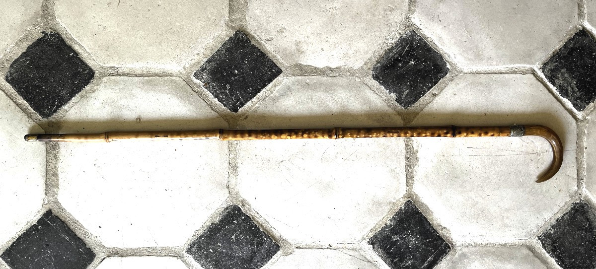 canne-épée en bambou, 19ème siècle