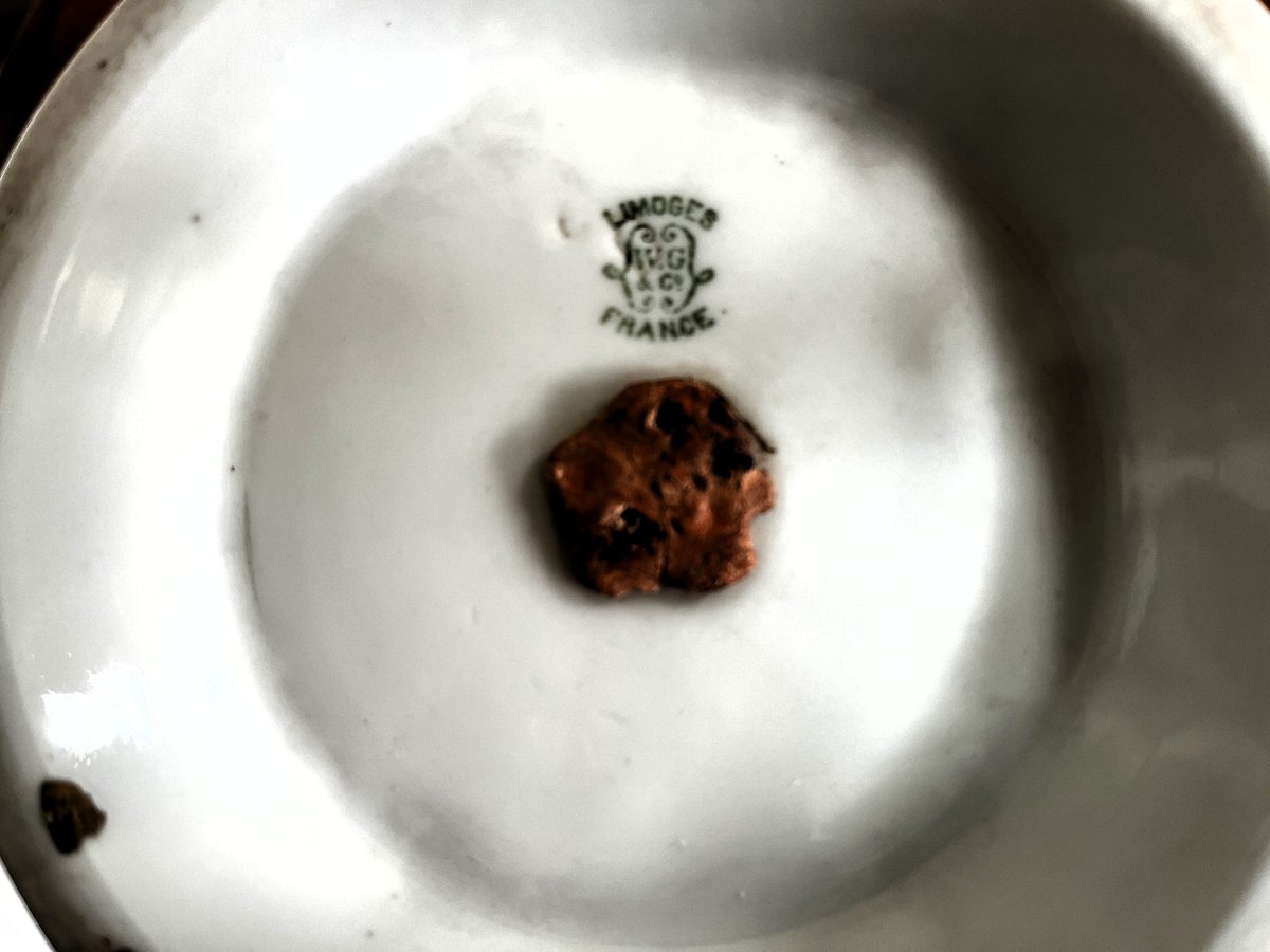 Limoges Porcelain Cachepot, Hand-decorated, Circa 1900.-photo-3