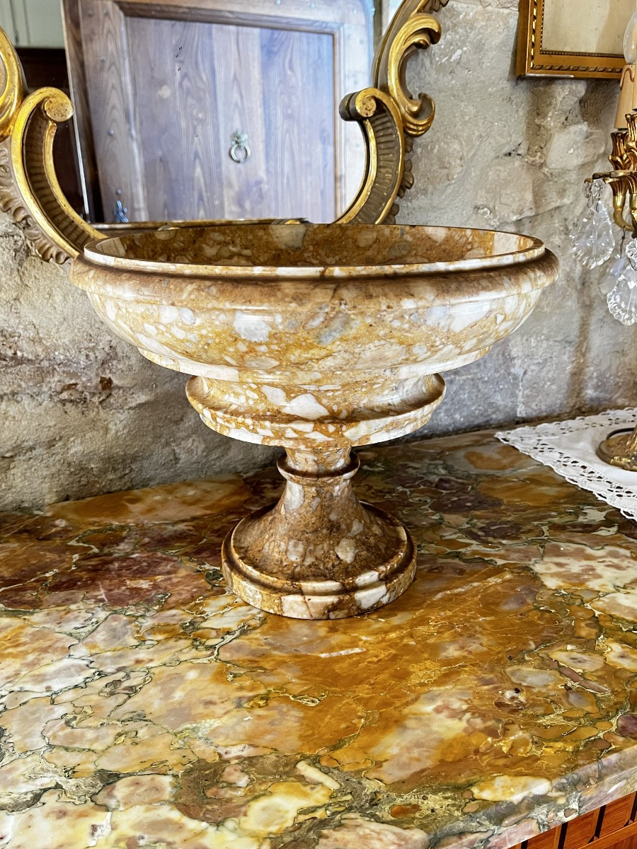 Coupe en marbre jaune de Sienne