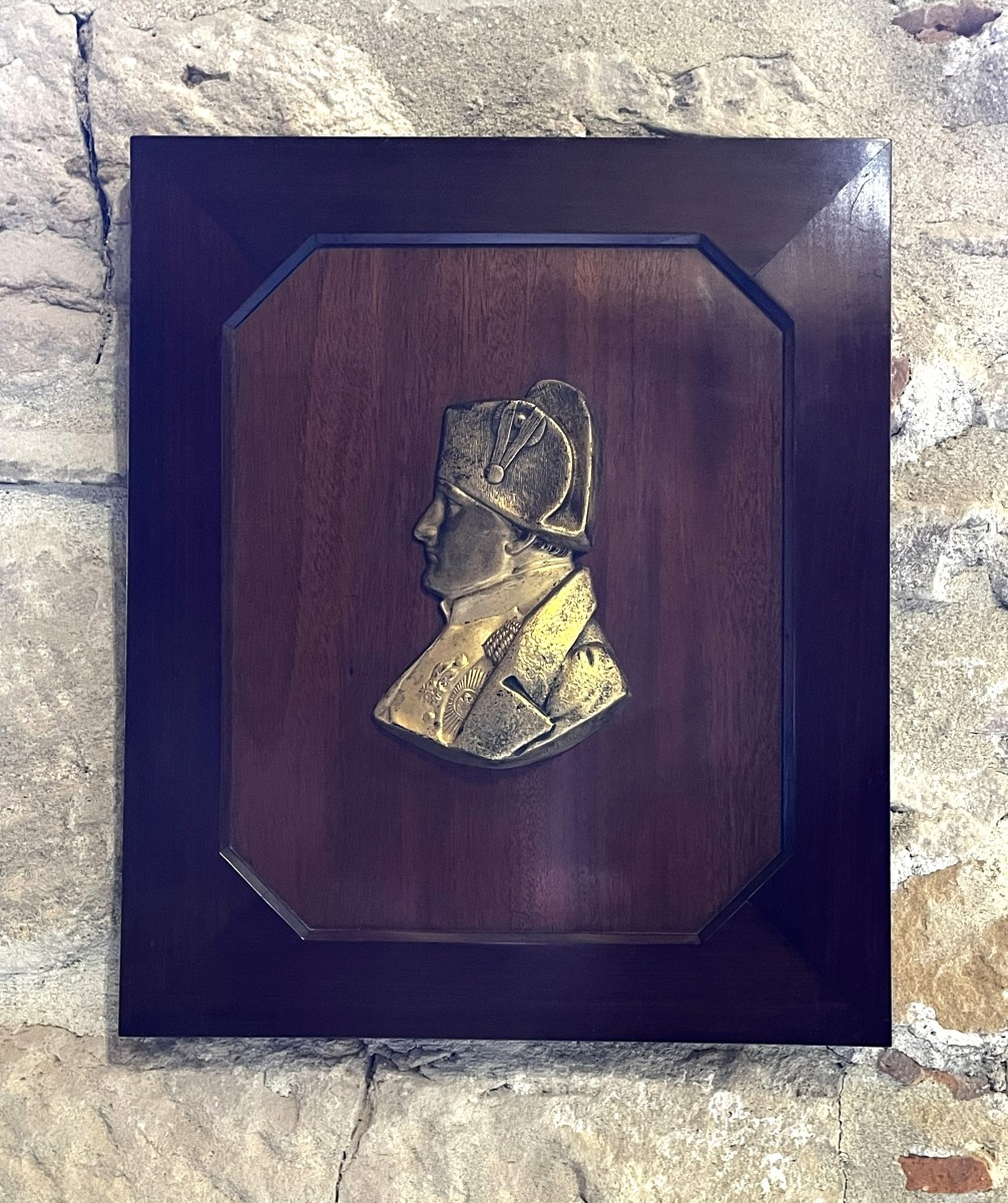 Bas-relief Signed C De Franoz: Napoleon I, Gilt Bronze On Solid Mahogany, Late 19th Century.