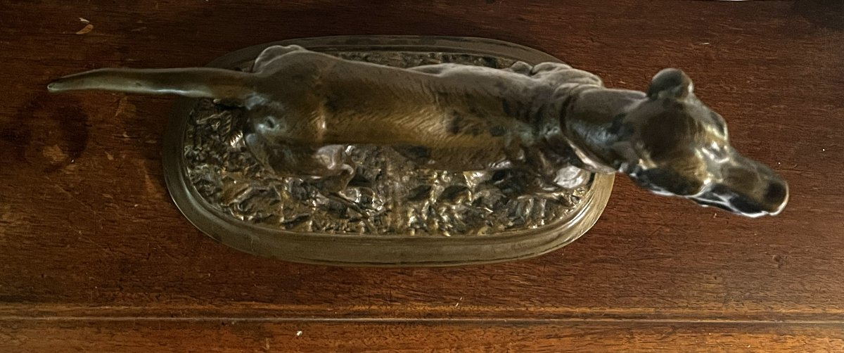 Dogue allemand, bronze, fin XIX ou début XXème siècle-photo-2
