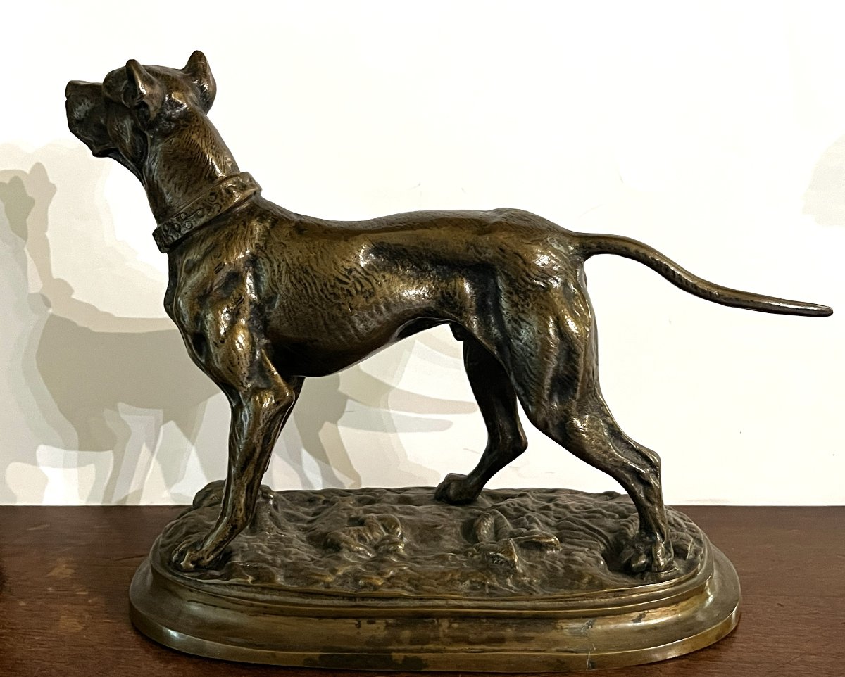 Dogue allemand, bronze, fin XIX ou début XXème siècle-photo-3