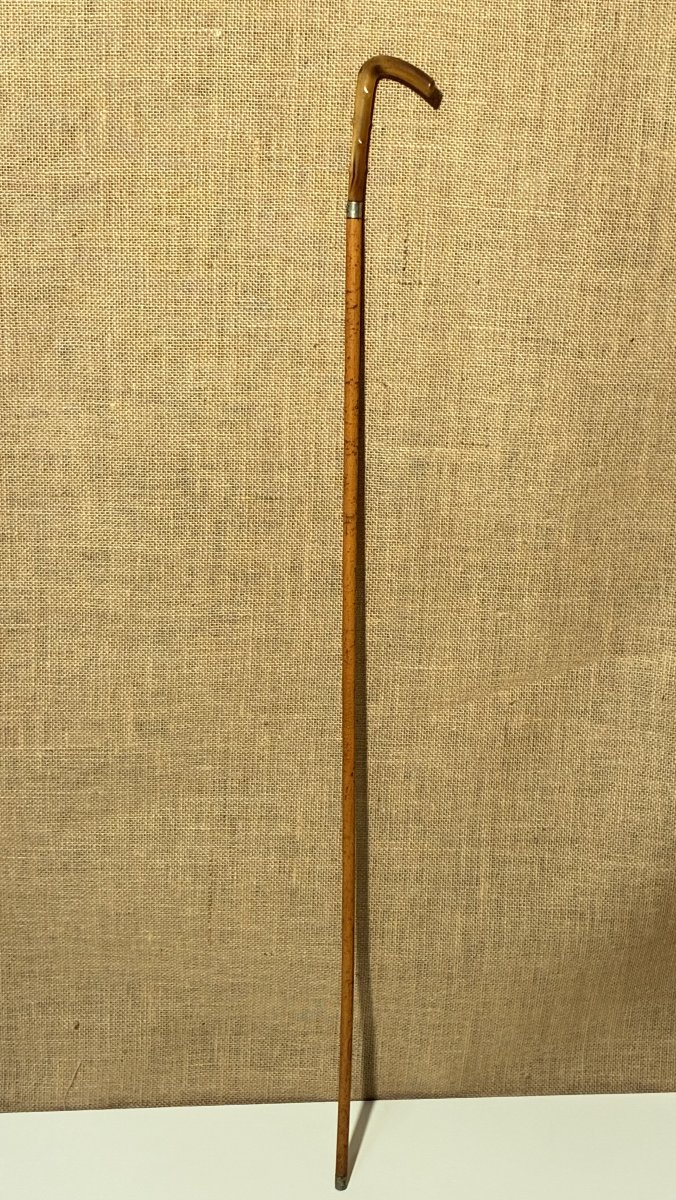 Malacca Cane With A Horn Knob