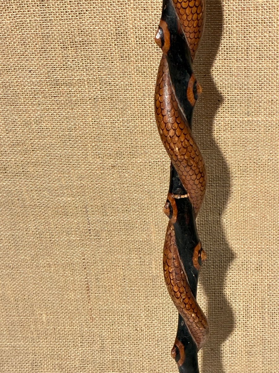 Walking Stick With A Coiled Snake, 19th-century Folk Art.-photo-3