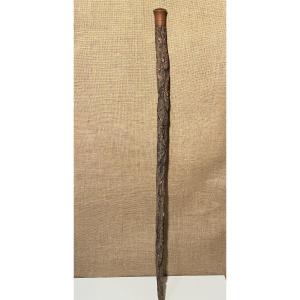 Cork Oak Walking Stick, Late 19th-century Folk Art