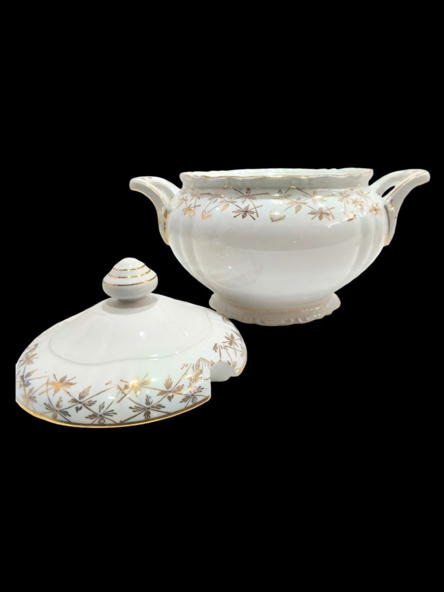 Royal China Vigo Porcelain Dinner Service, 45 Pieces, 1960s-photo-7
