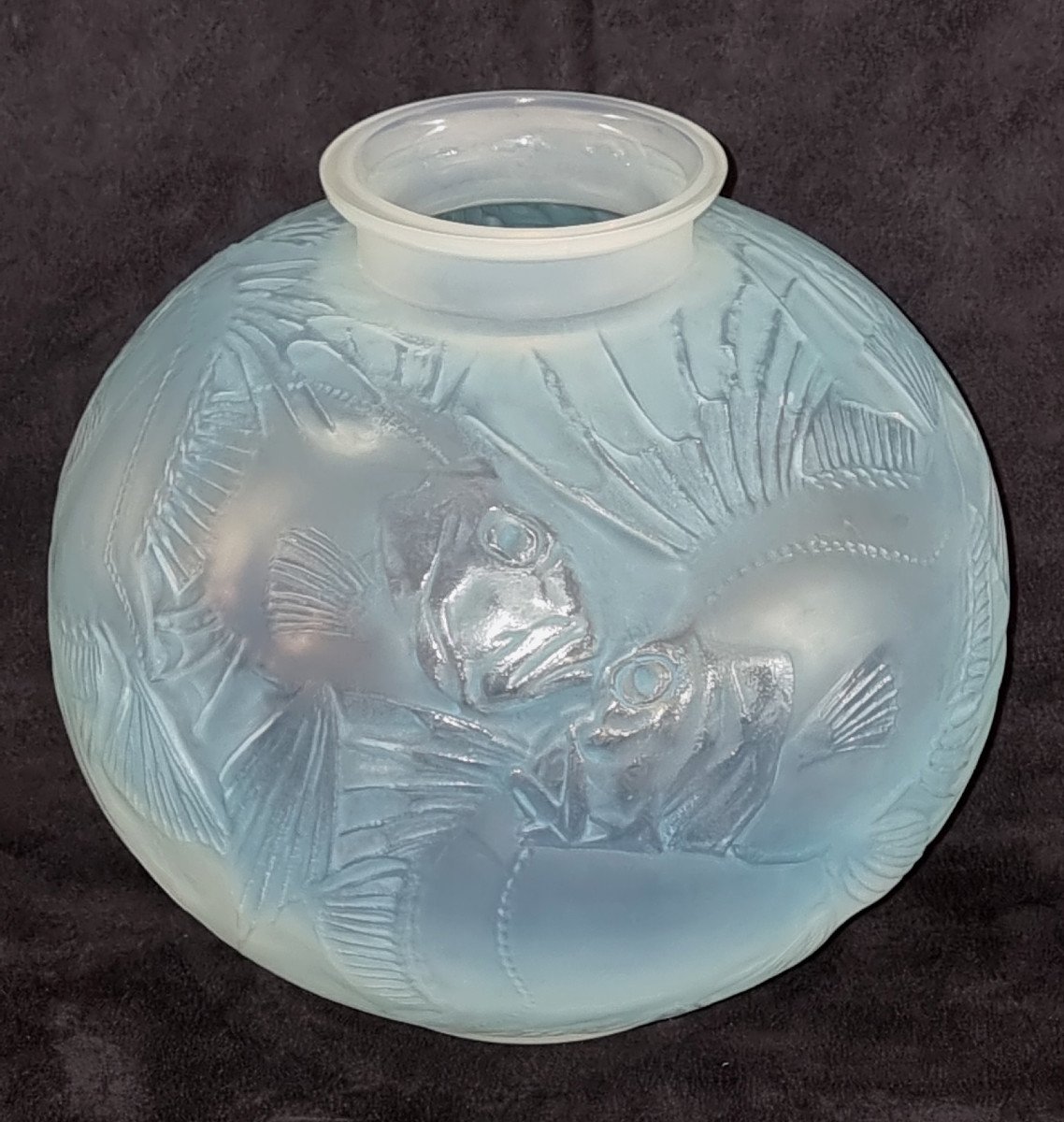 René Lalique Vase Poissons Opalescent à Patine Bleue Art Déco 1921 -photo-2