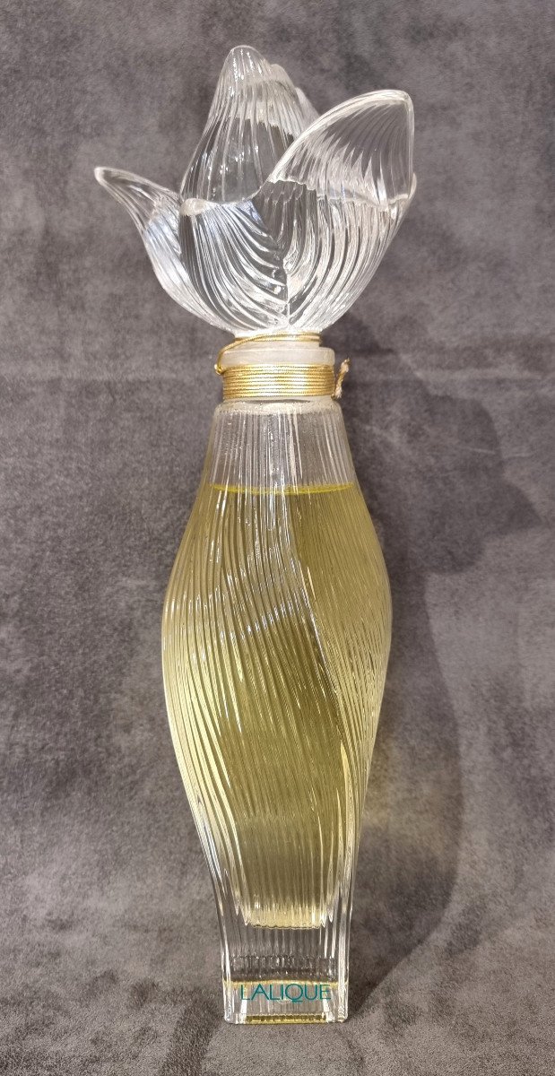 Lalique Nilang Giant Bottle -photo-7