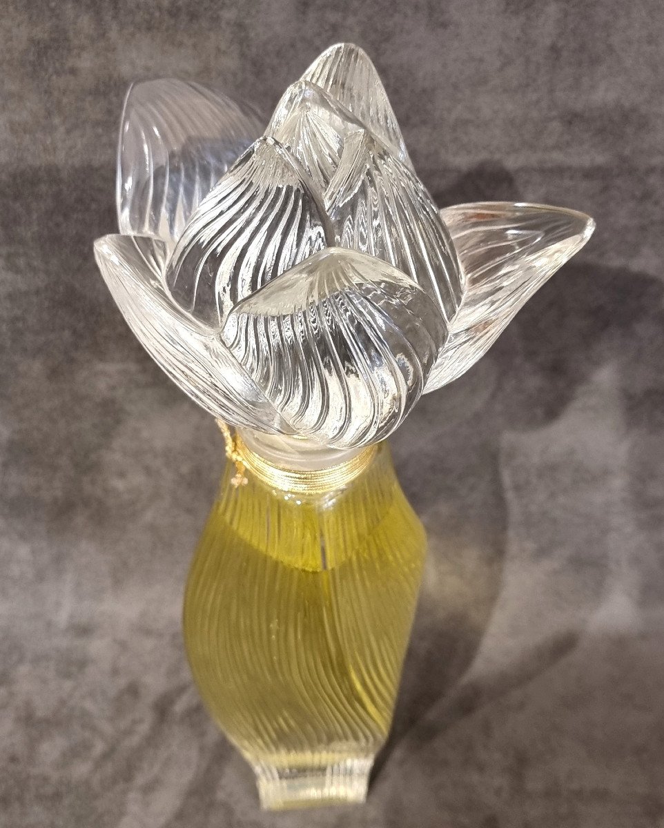 Lalique Nilang Giant Bottle -photo-8