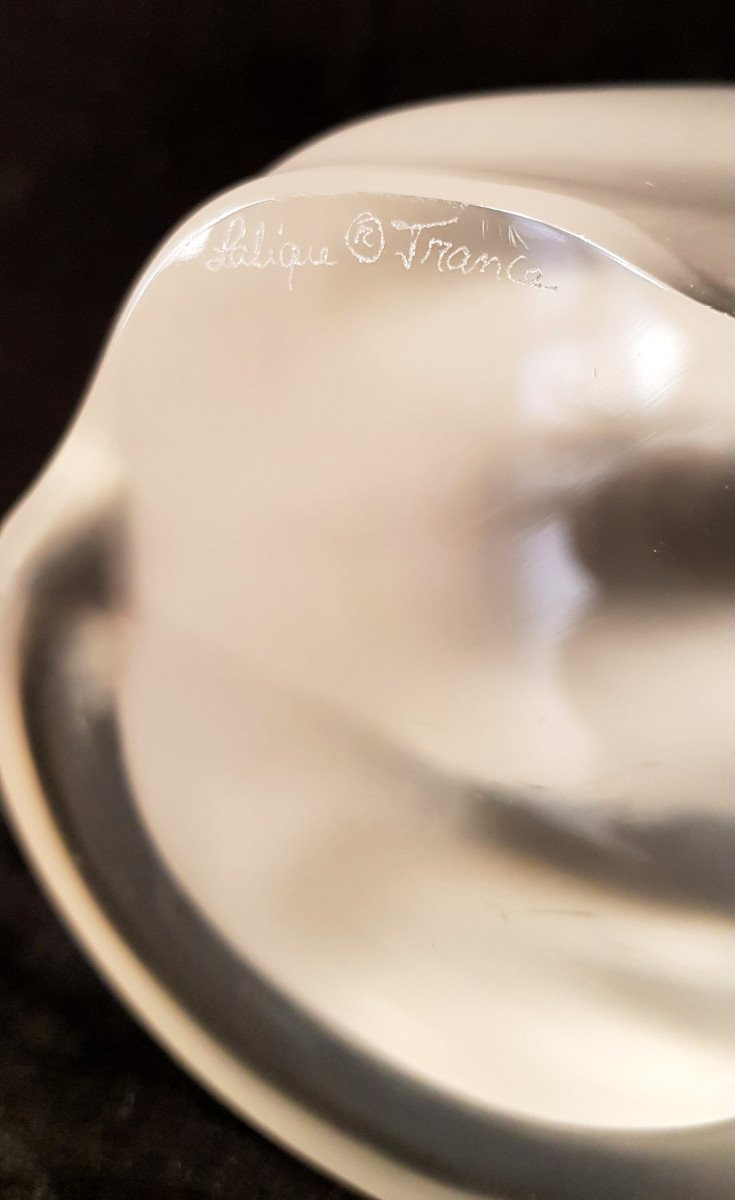 Marie Claude Lalique Lion Model Bamara Crystal  -photo-4
