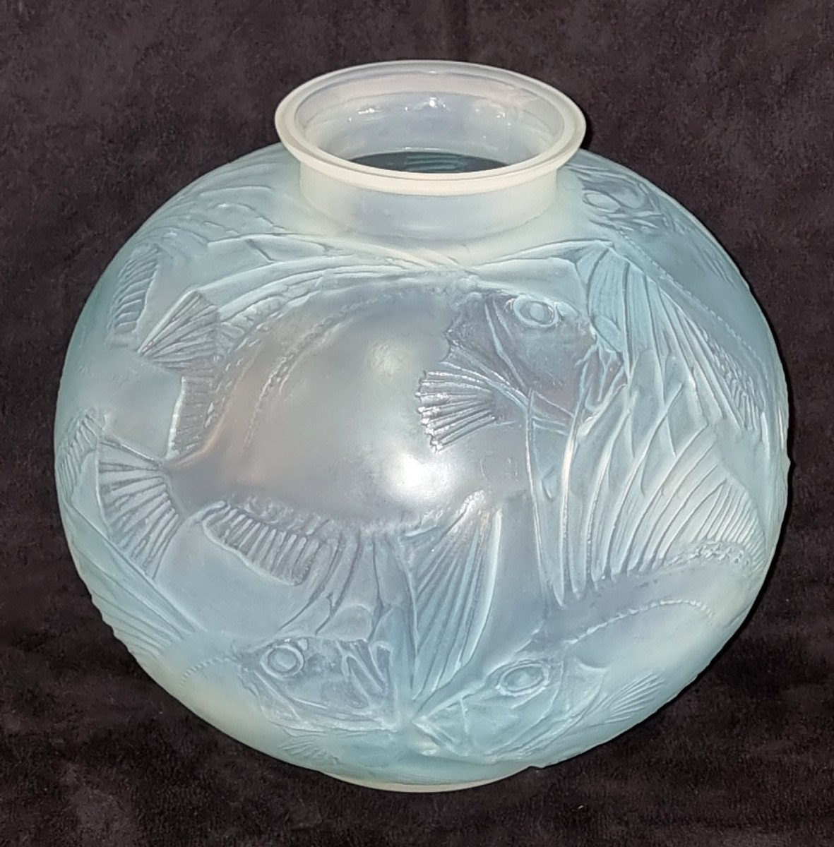  René Lalique Vase Poissons Opalescent à Patine Bleue Art Déco 1921 -photo-4