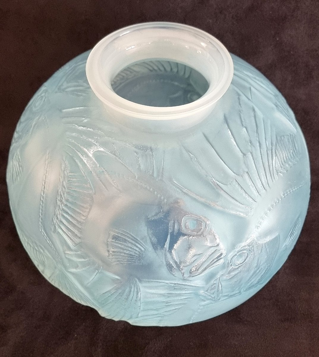  René Lalique Vase Poissons Opalescent à Patine Bleue Art Déco 1921 -photo-4
