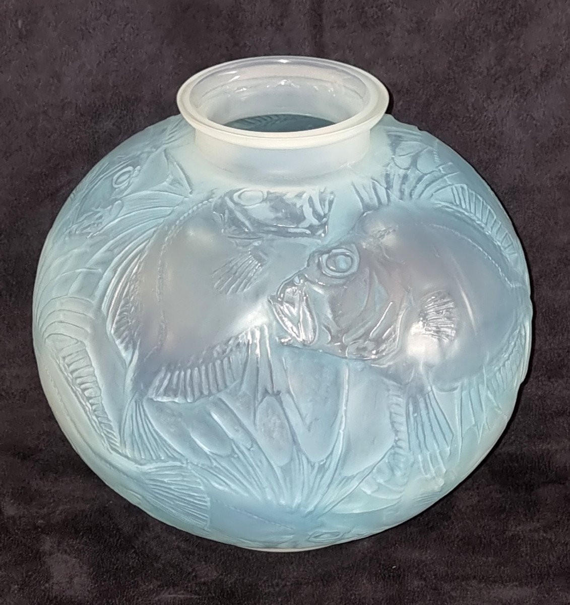  René Lalique Vase Poissons Opalescent à Patine Bleue Art Déco 1921 -photo-5