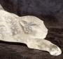 1562595-684469eba2539.jpg