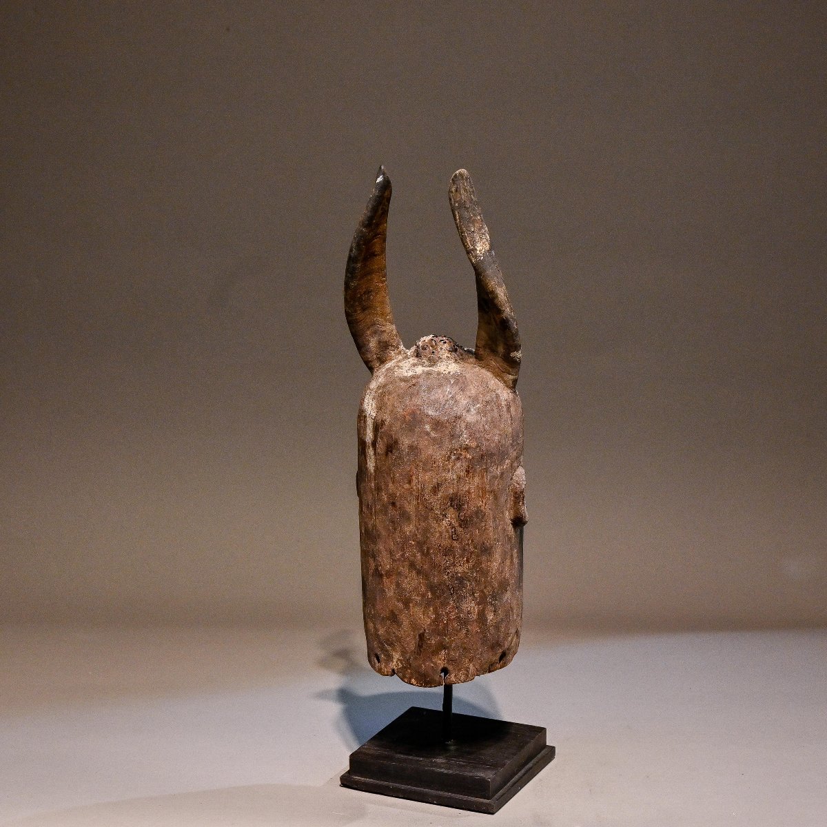 Cimier de danse Wurkum-photo-3