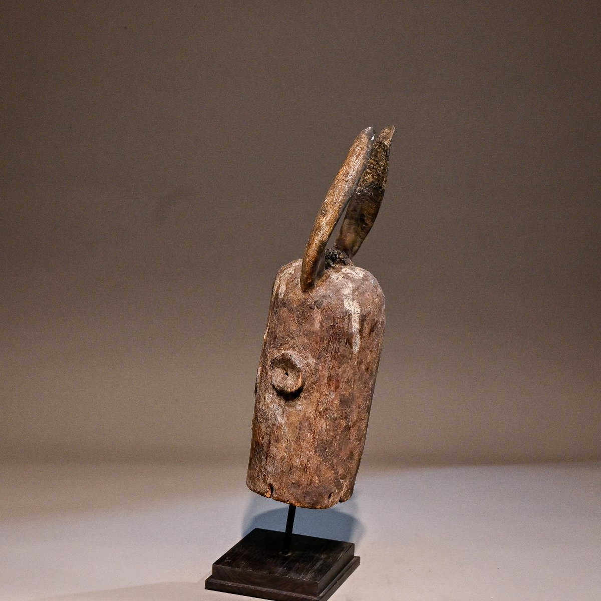 Cimier de danse Wurkum-photo-4