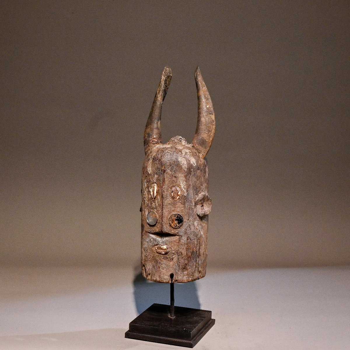 Cimier de danse Wurkum-photo-1