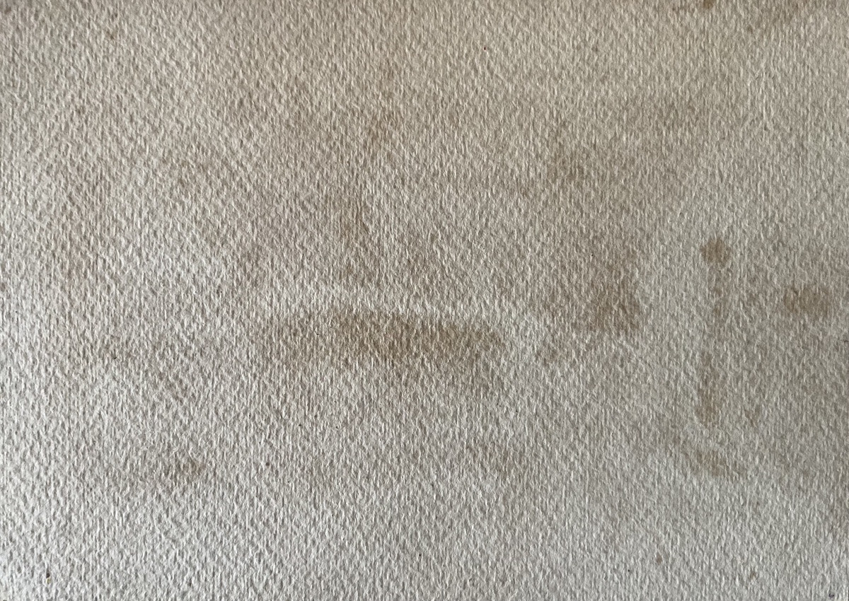 Lucienne Capdevielle, Chickens In The Farmyard, Painting 1930/40-photo-2