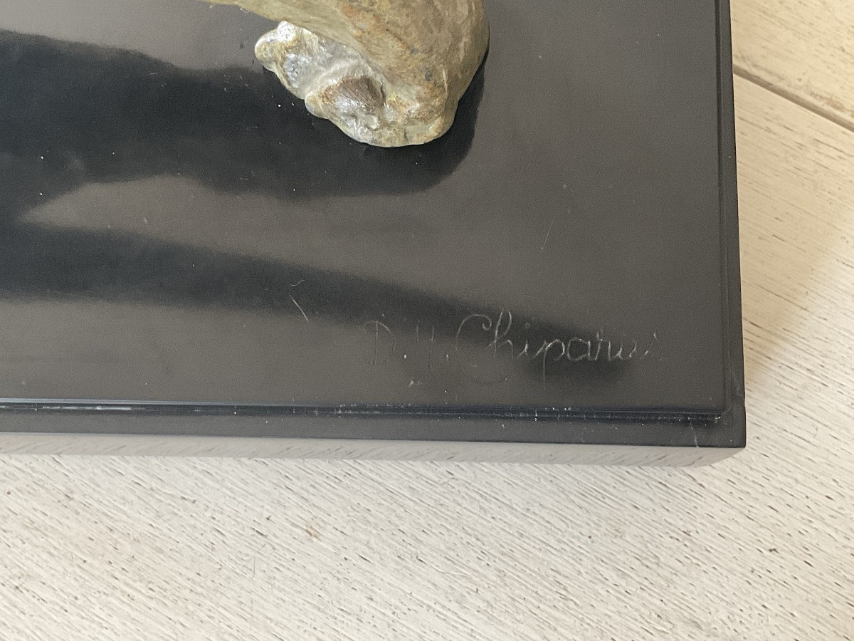 DEMETRE CHIPARUS SCULPTURE ART DECO PANTHÈRE 1930 BELLE PATINE -photo-8