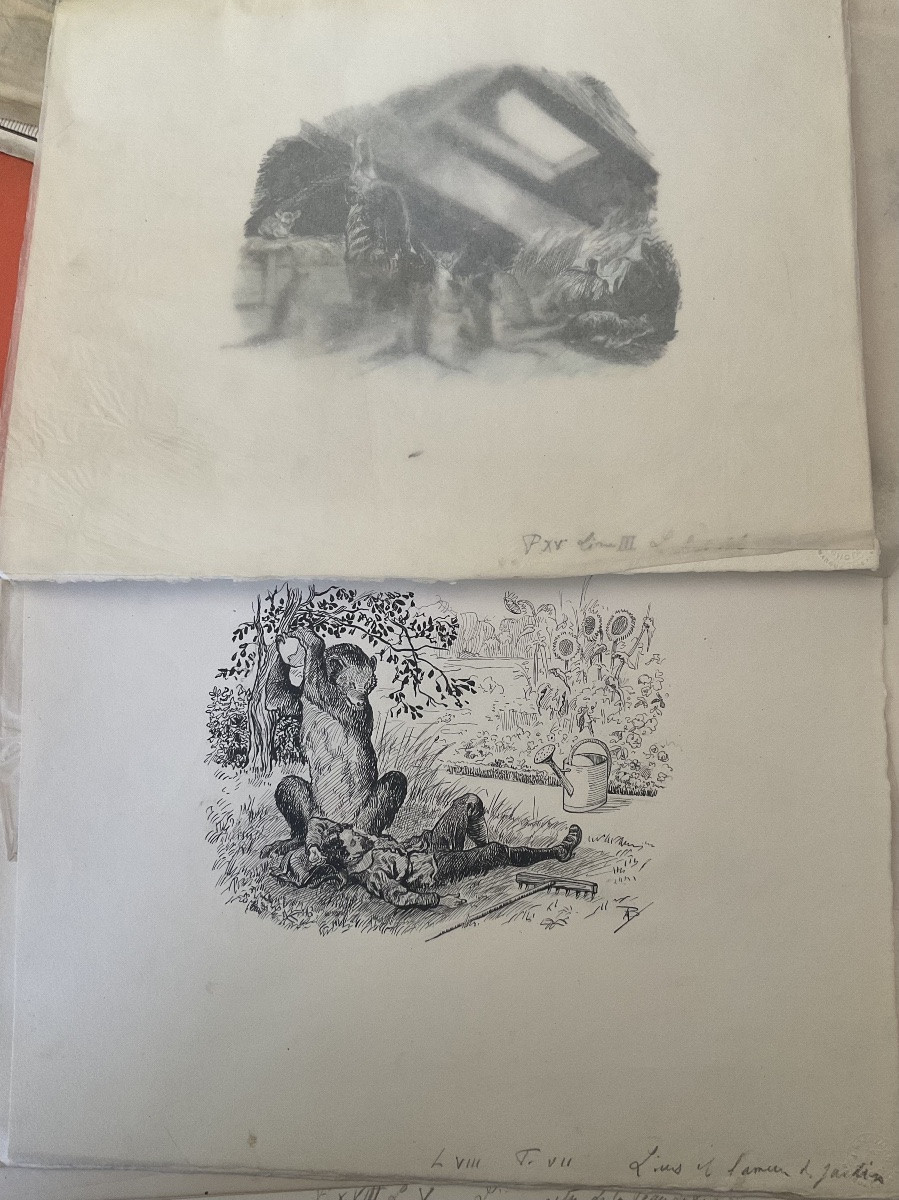 50 Dessins originaux pour les fables de la Fontaine par M.BONAMY / rare .-photo-2