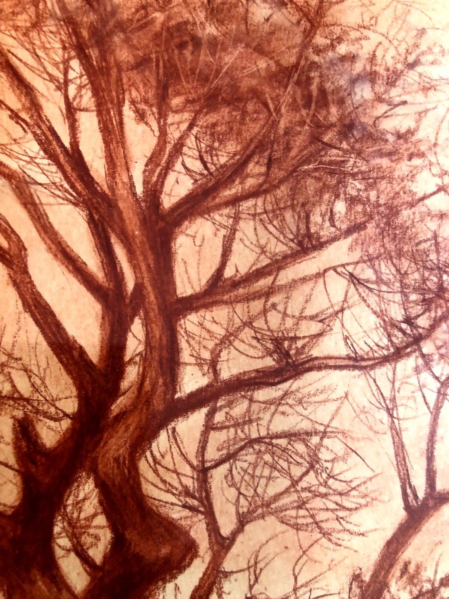 Sanguine Landscape By Jacques Charlas 1945-photo-1