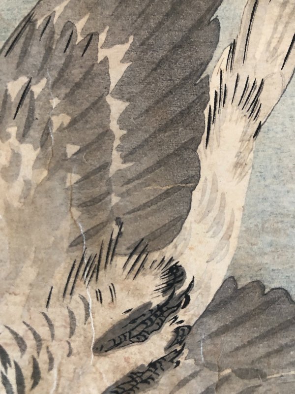 The Cuckoo And The Crescent Moon By Ohara Koson 1877-1945-photo-2