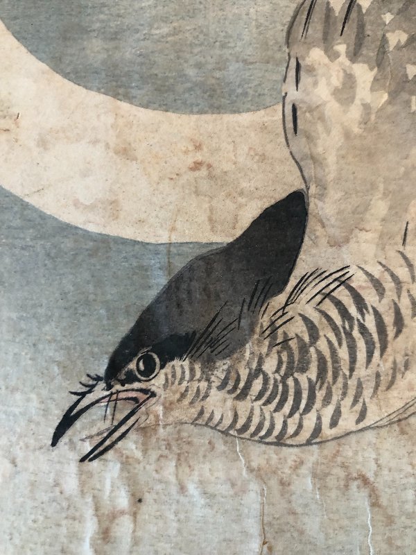 The Cuckoo And The Crescent Moon By Ohara Koson 1877-1945-photo-3