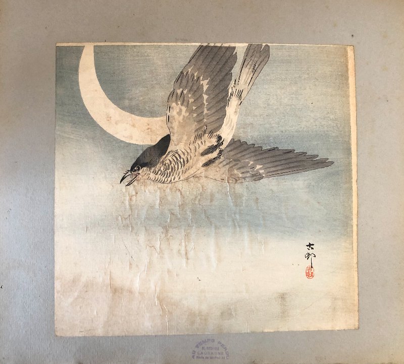 The Cuckoo And The Crescent Moon By Ohara Koson 1877-1945-photo-4