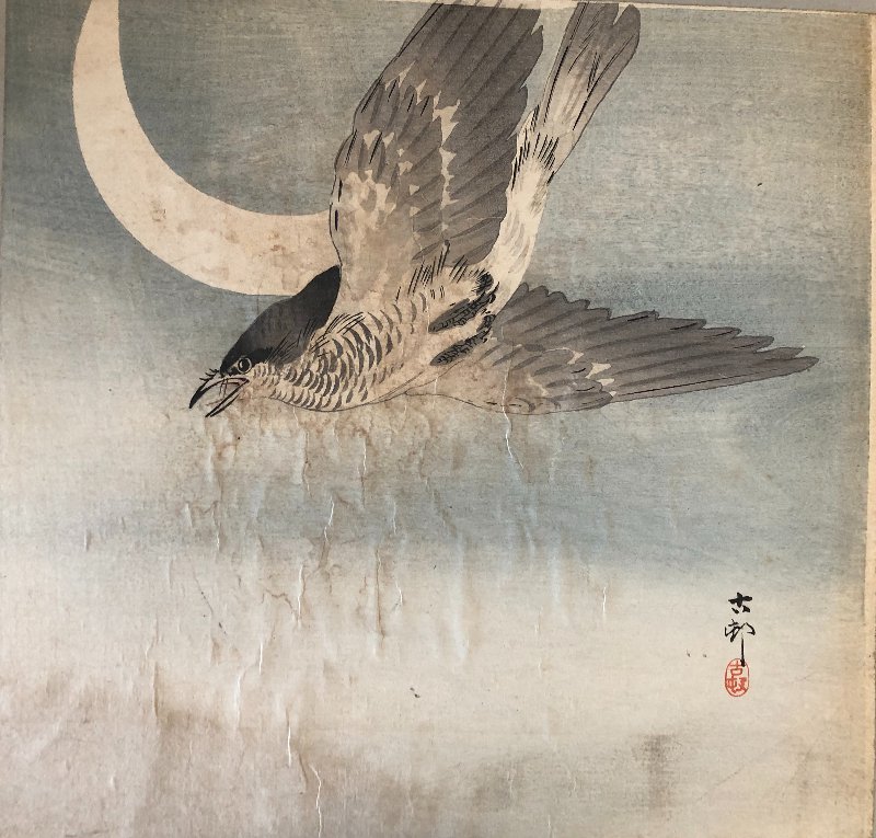 The Cuckoo And The Crescent Moon By Ohara Koson 1877-1945-photo-2