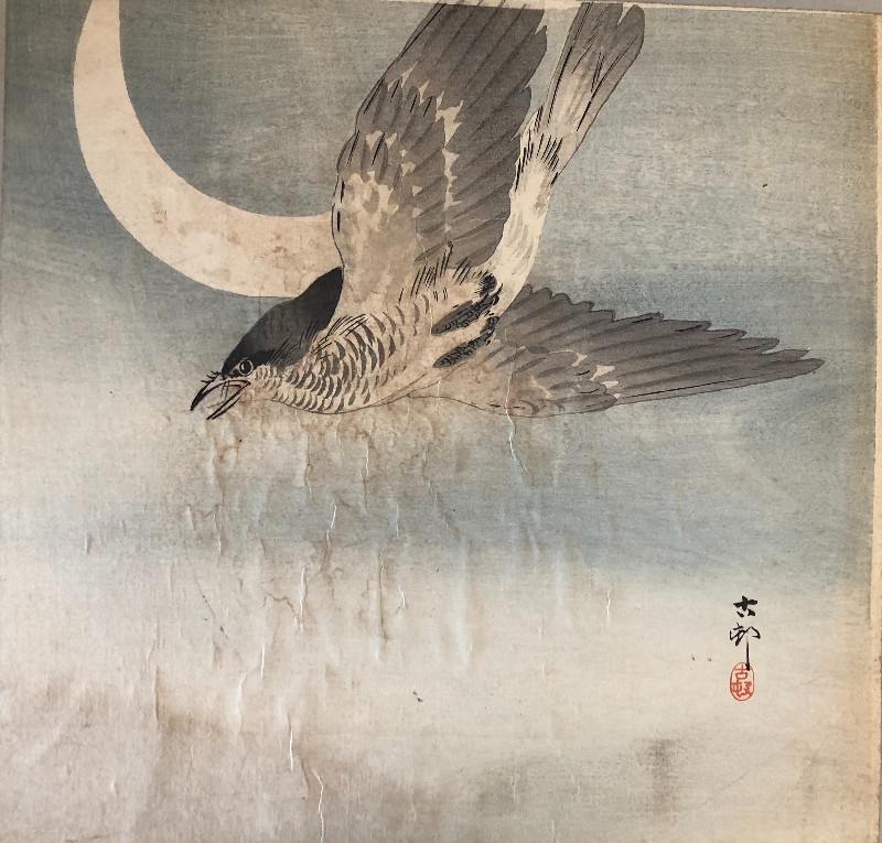 The Cuckoo And The Crescent Moon By Ohara Koson 1877-1945