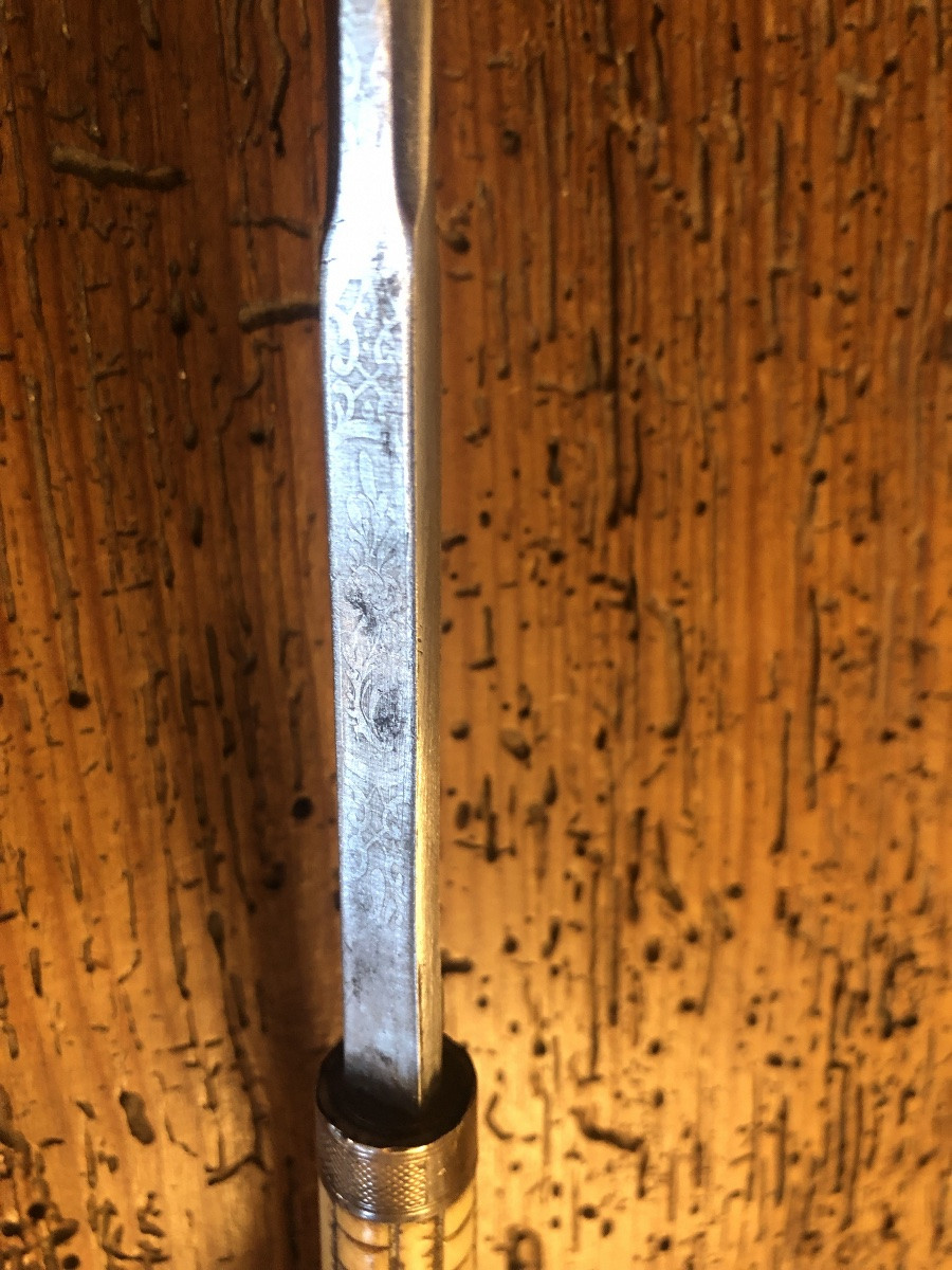 Canne épée Lame de Tolède et pommeau en Corne Zoomorphe XIX-photo-3