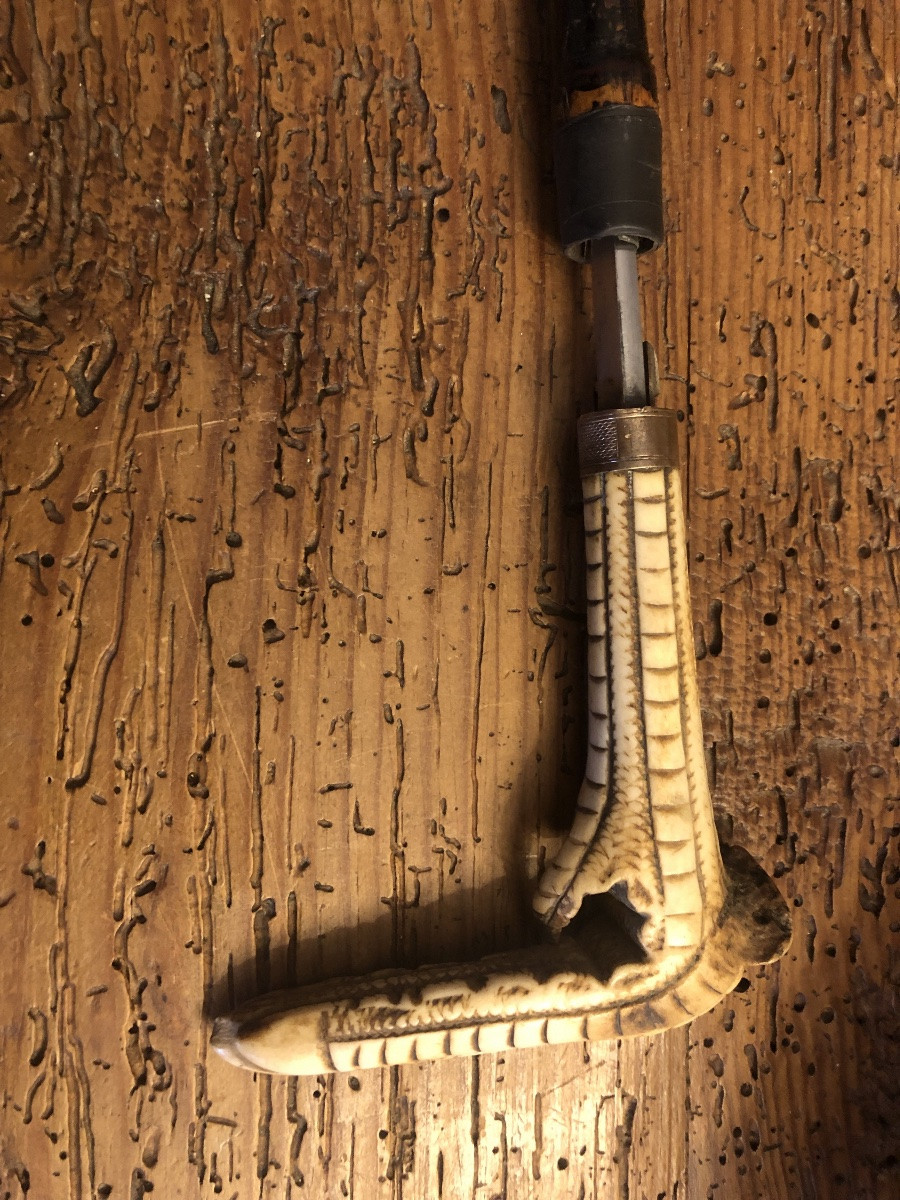 Canne épée Lame de Tolède et pommeau en Corne Zoomorphe XIX-photo-5