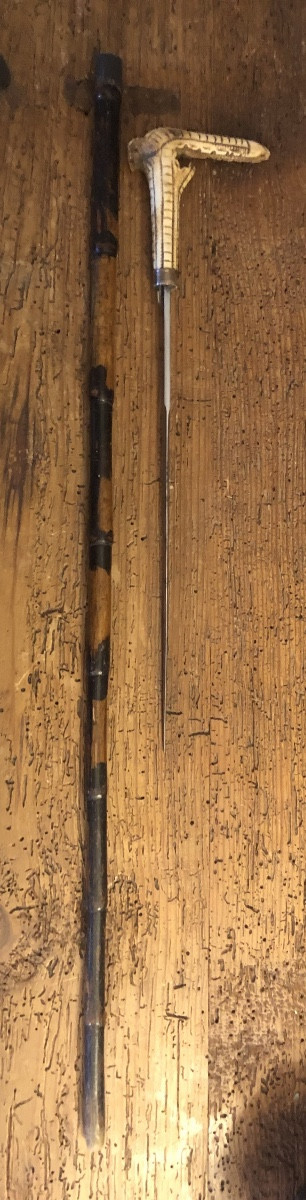 Canne épée Lame de Tolède et pommeau en Corne Zoomorphe XIX