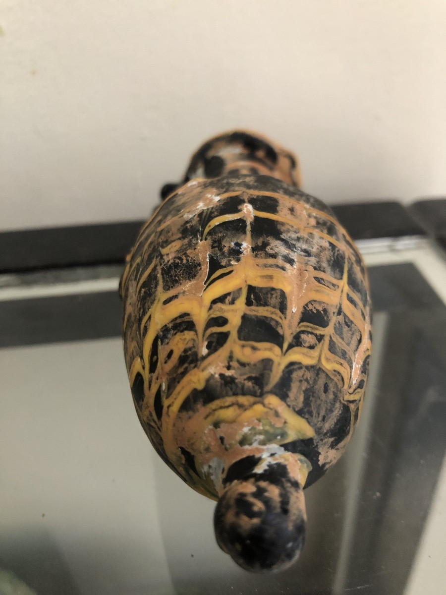 Phoenician Black Paste Amphoriskos 600-400 Bc-photo-4