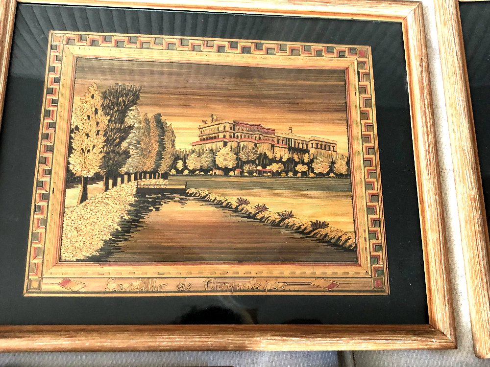 Série de Tableaux en Marqueterie de Paille, Mexique 1930-photo-2