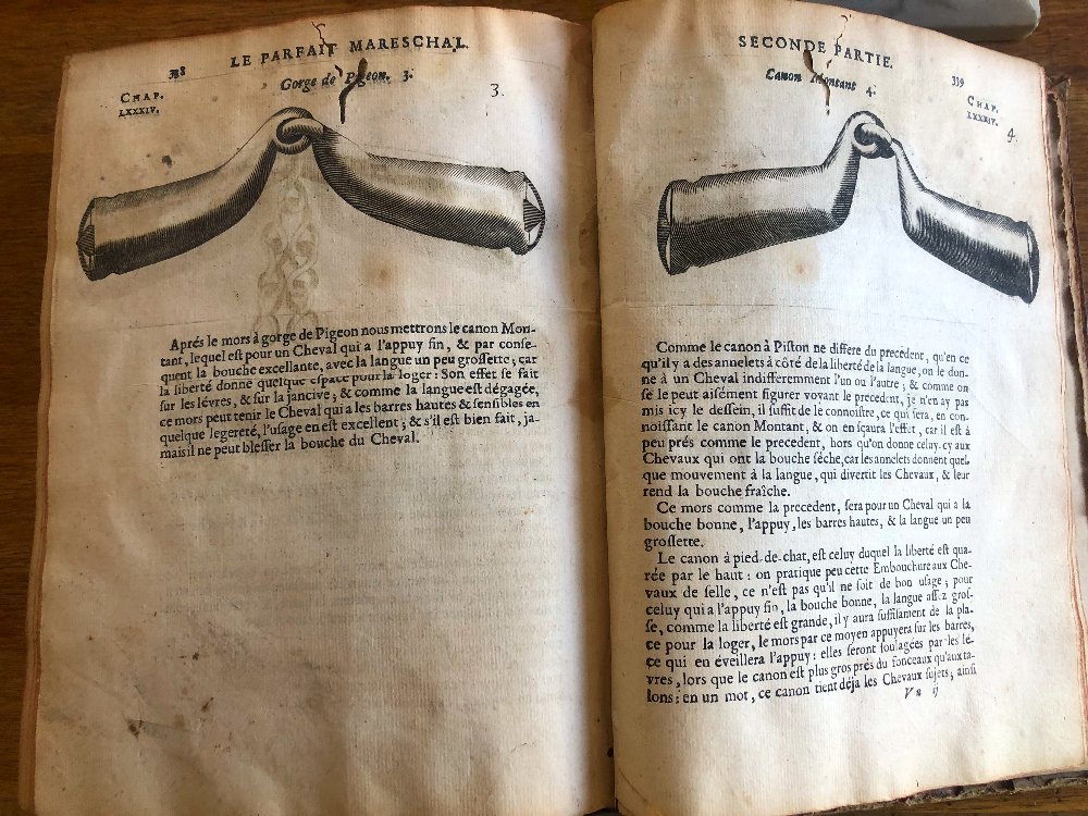 « Le Parfait Mareschal » écrit par Jacques de Solleysel 1685-photo-5
