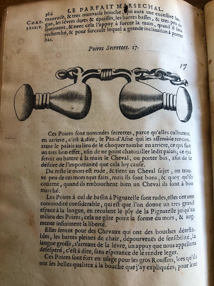 « Le Parfait Mareschal » écrit par Jacques de Solleysel 1685-photo-7